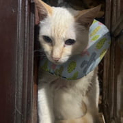 Sandália Off White Salto Alto Corrente Dourada Week Shoes