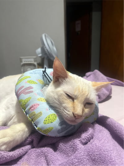 Sandália Off White Salto Alto Corrente Dourada Week Shoes