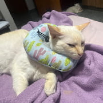 Sandália Off White Salto Alto Corrente Dourada Week Shoes