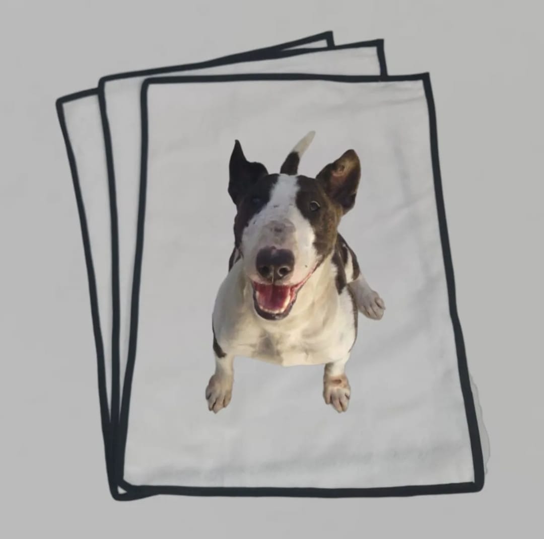 Kit 3 Tapete Higiênico Lavável Cães Cachorro Grande Xixi Dog